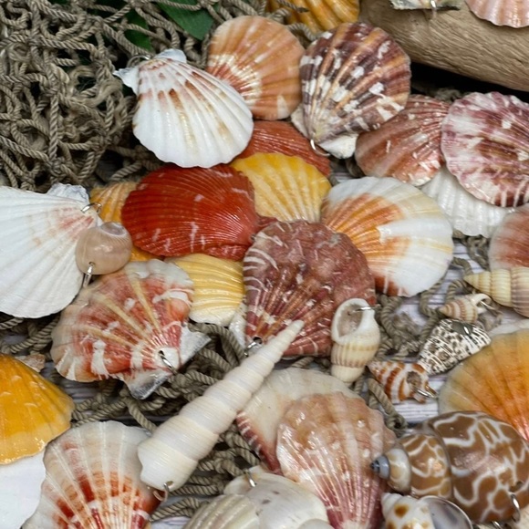 15 REAL SEASHELLS CHARMS PENDANTS w 15 JUMP RINGS FOR CRAFTING & JEWELRY MAKING - Picture 3 of 13